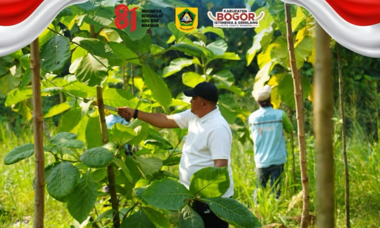 Bupati Bogor Wujudkan 45.152 Pohon di Hutan Kota, Jadi Warisan Hijau Masa Depan Kabupaten Bogor